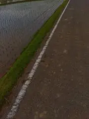 みつきの画像
