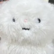まゆの画像