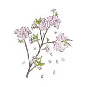 めるるの画像
