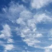 いさぽんの画像