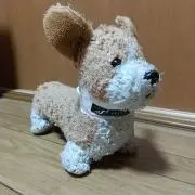 じょーじの画像