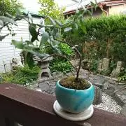 kaka♪の画像