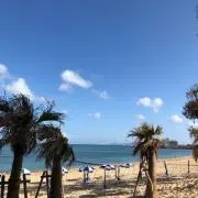 coliの画像