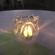 るるの画像