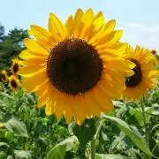 はろー(※プロフ必読※)