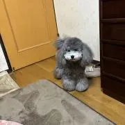 ポム