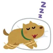ゆきんこの画像
