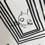 わか