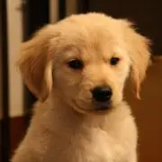 さかちゃんの画像