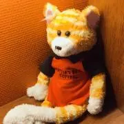 ギズの画像