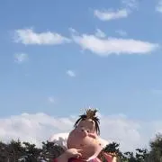 麦
