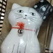 さらさの画像