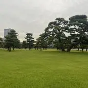 ミイーの画像