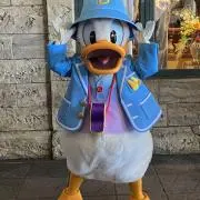 ちょんたの画像