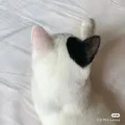 Hana♡の画像