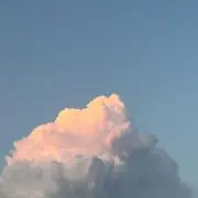 みぃの画像