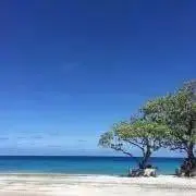 かおるこの画像