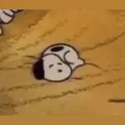 moiの画像