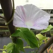 静の画像