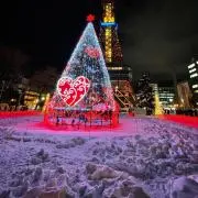 カナリアの画像