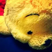 さくらの画像