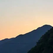 りんの画像