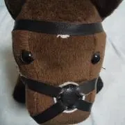 レイデオロの画像