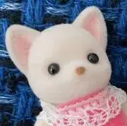 ゆの画像