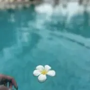 なの画像