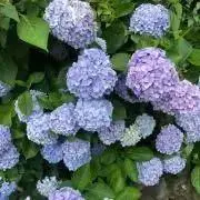 MT★お値下げ交渉どうぞ★即購入⭕️