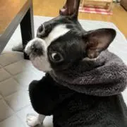 mieの画像