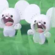 ぴょんの画像