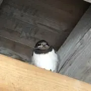 な。の画像