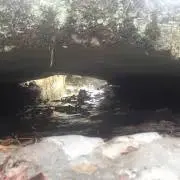 梅酒の画像