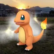 ヒトカゲの画像