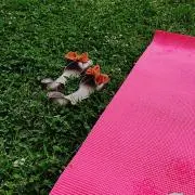 リナの画像