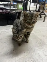 miyayuu2929の画像