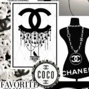 coco♡の画像