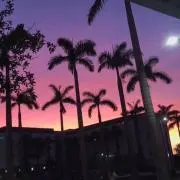 いくらの画像