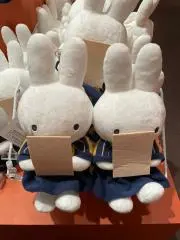 うさやまの画像