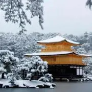 RyOの画像
