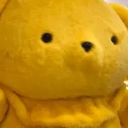 ひな