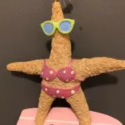 shinの画像