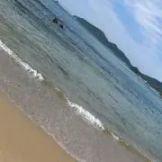 moの画像
