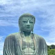 なんの画像