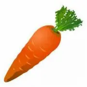 にんじんキャロット