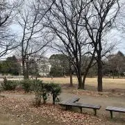 ぽてと