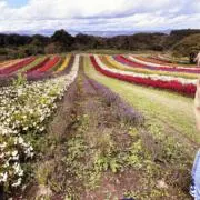 そふぃあ♡他フリマにて販売実績ありの画像