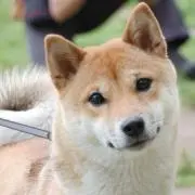 ぱぶろふ