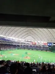 カナタ